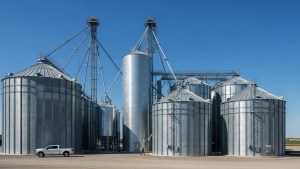 Dust Disasters in Grain