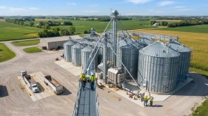Technicians_inspecting_grain