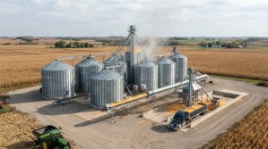 Grain_drying_facility_processing