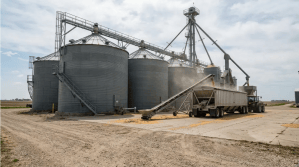 Grain_storage_facility_with_grain_