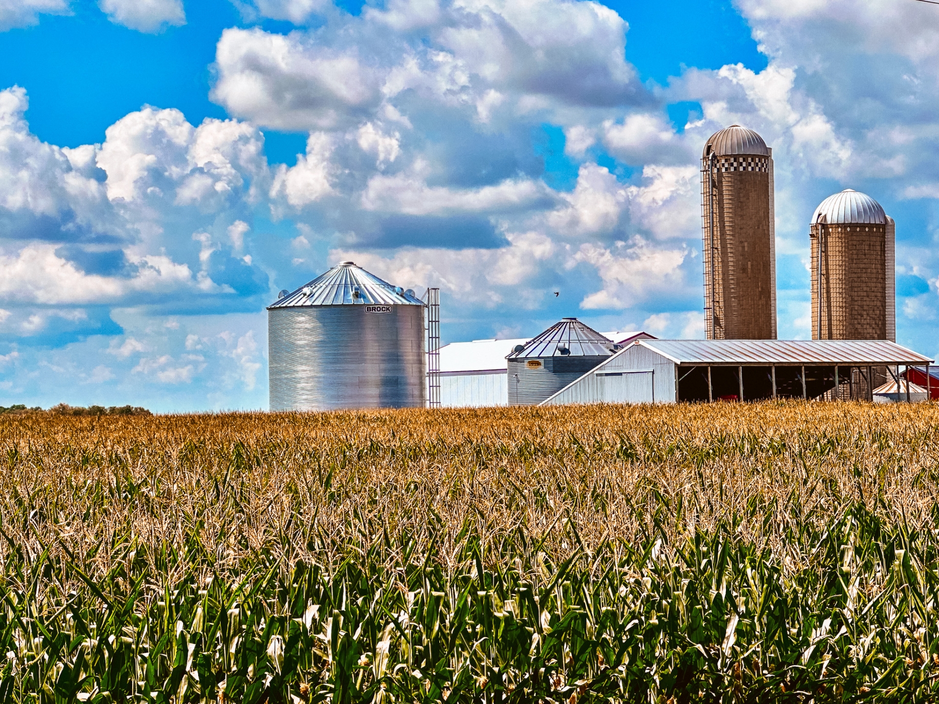 farm projects- brock farm bin